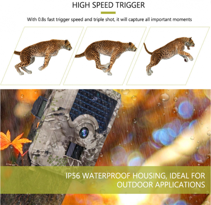 PR200 Hunter Trail Camera 15M PIR Distance Hunter Trail Camera SD Card